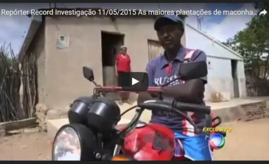 VIDEO | As maiores plantações de maconha do Brasil